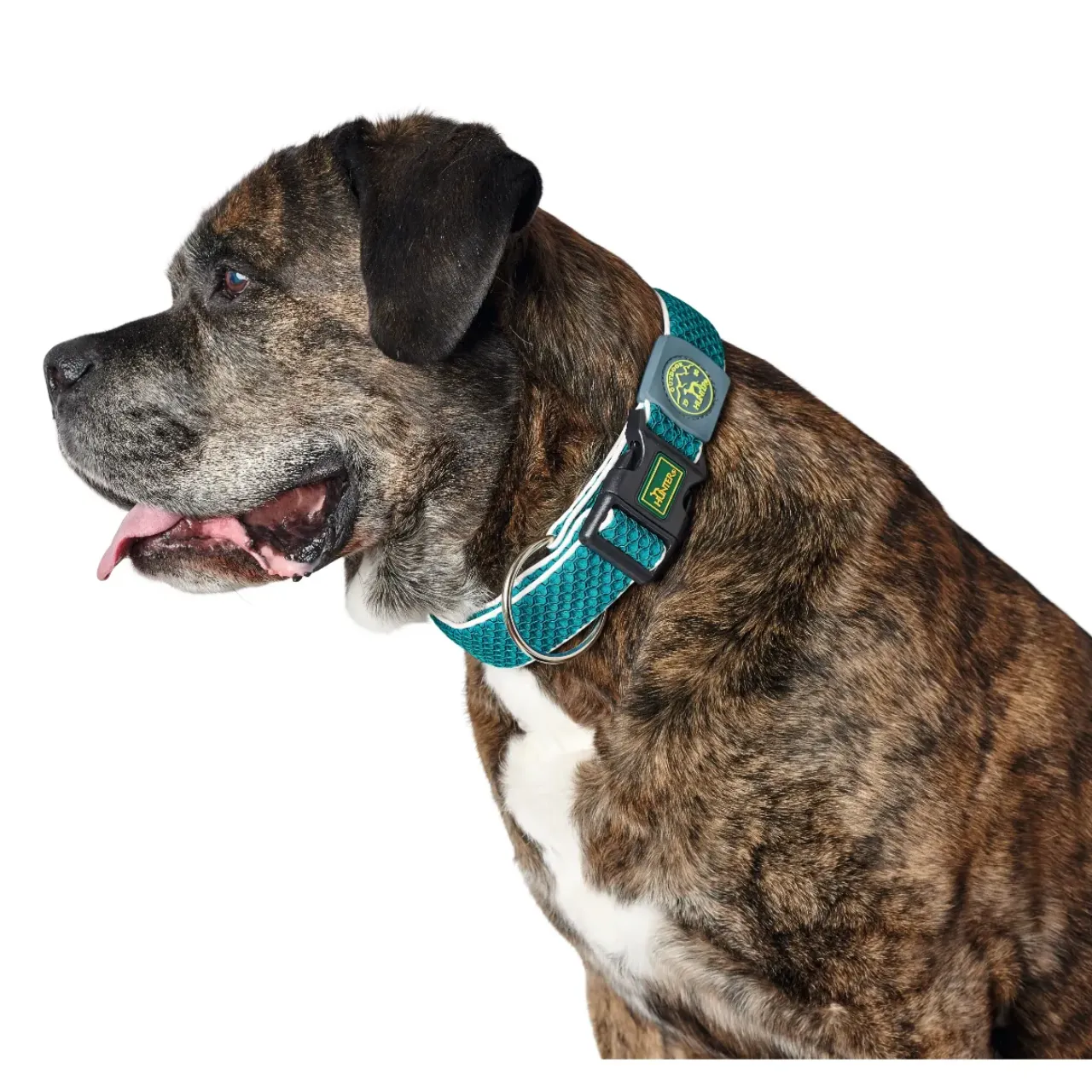 Hunter hunde halsbånd Hilo Turkis M-L - justerbart hundehalsbånd (33-50 cm, B 2,5 cm)